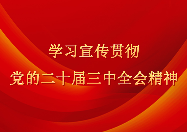 學習宣傳貫徹黨的二十屆三中全會精神